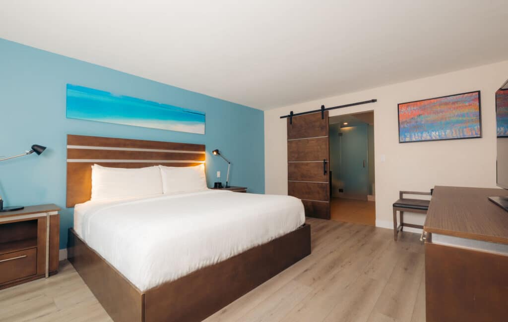 KING ACCESSIBLE ROOM