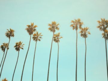 california residences special